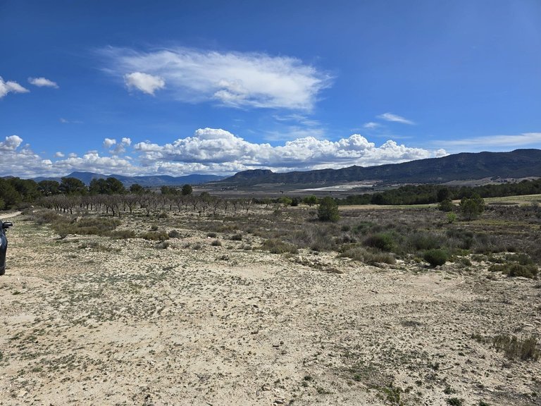 Plot for Sale in Salinas, Alicante 6