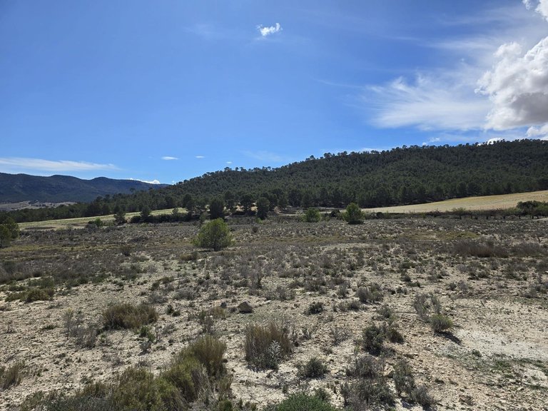 Plot for Sale in Salinas, Alicante 2