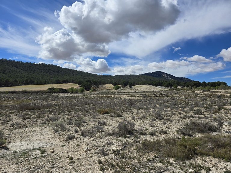 Plot for Sale in Salinas, Alicante 5
