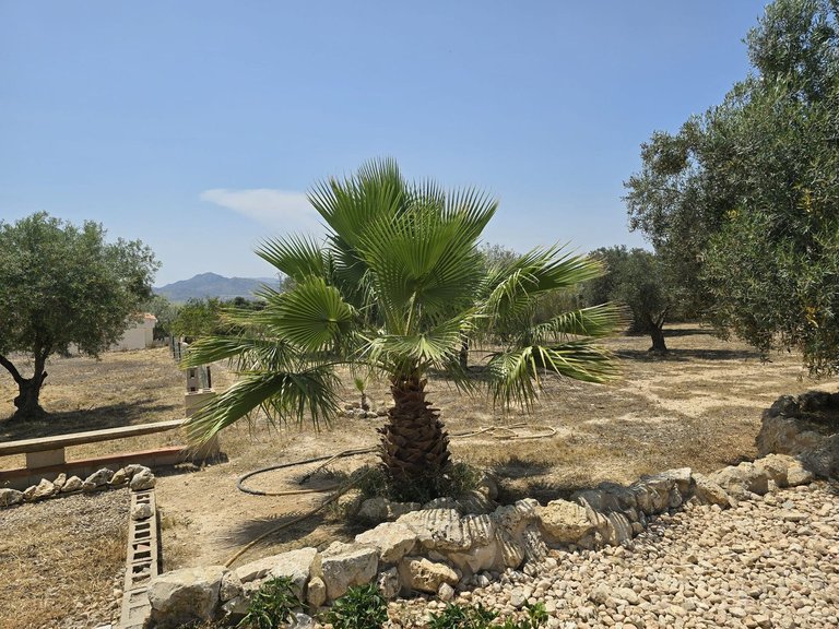 Villa for Sale in Sax, Alicante 20