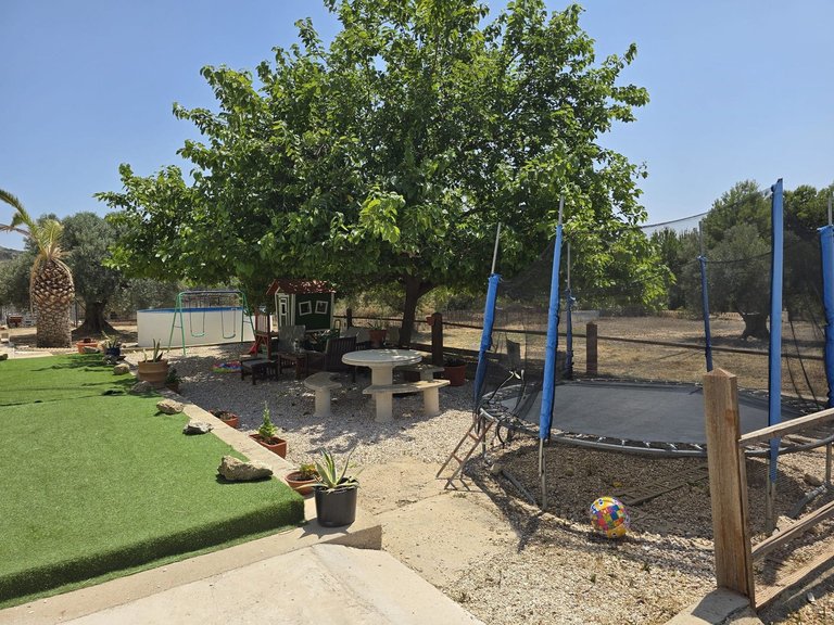 Villa for Sale in Sax, Alicante 2