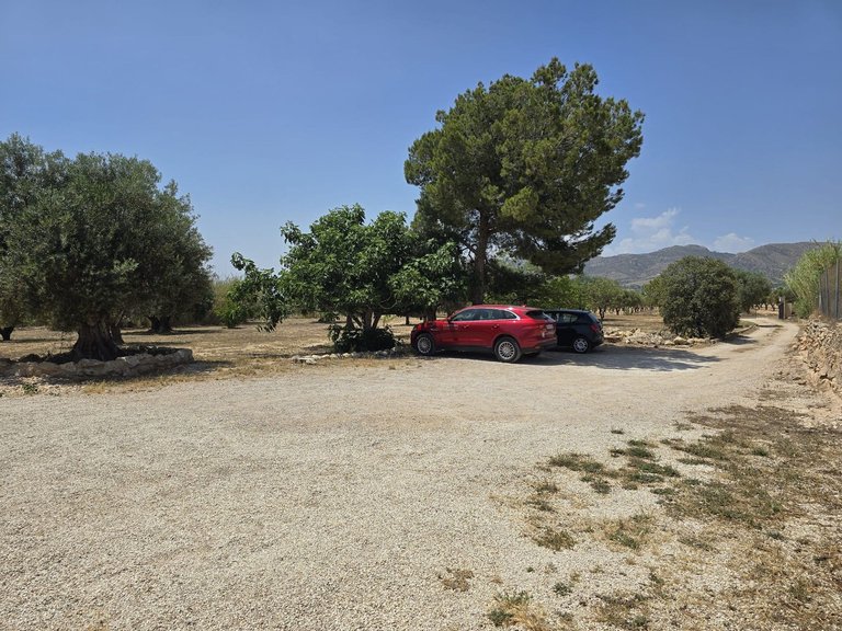 Villa for Sale in Sax, Alicante 21