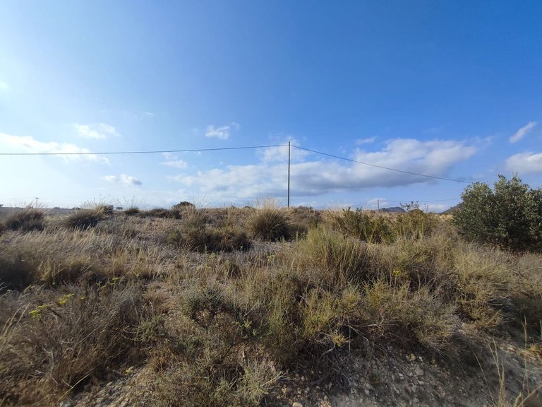 Plot for Sale in Sax, Alicante 11