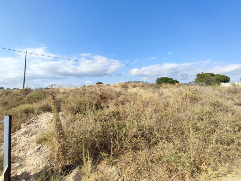 Plot for Sale in Sax, Alicante 14