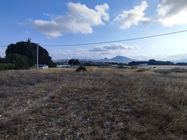 Plot for Sale in Sax, Alicante 8