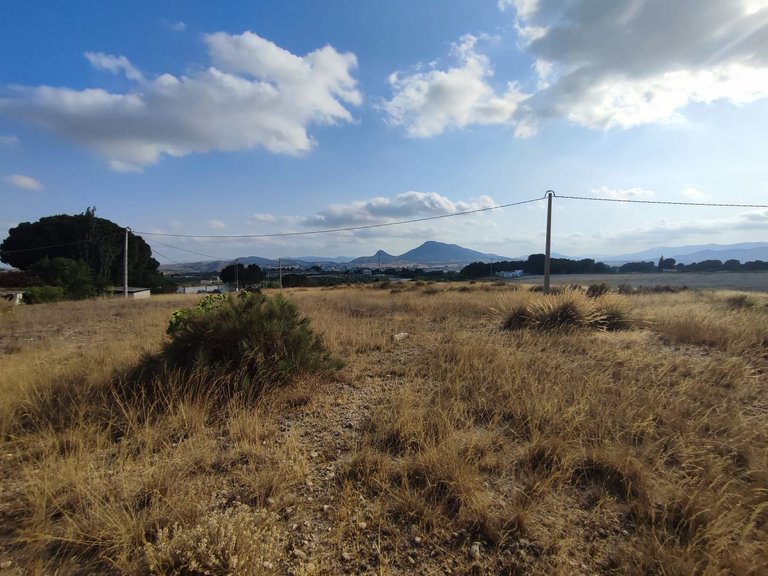 Plot for Sale in Sax, Alicante 6