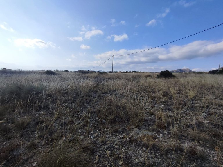 Plot for Sale in Sax, Alicante 10