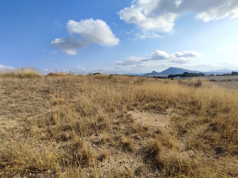 Plot for Sale in Sax, Alicante 12