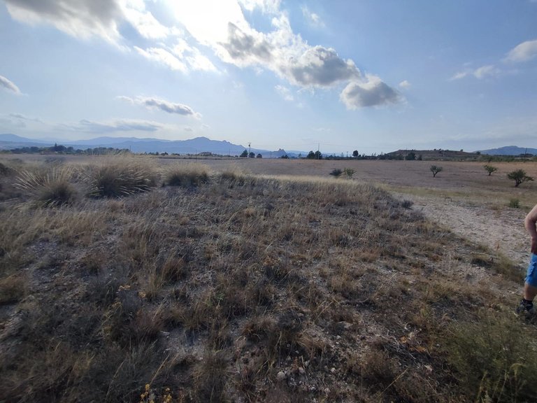 Plot for Sale in Sax, Alicante 9