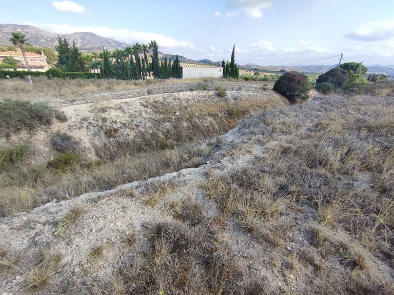 Plot for Sale in Sax, Alicante 4