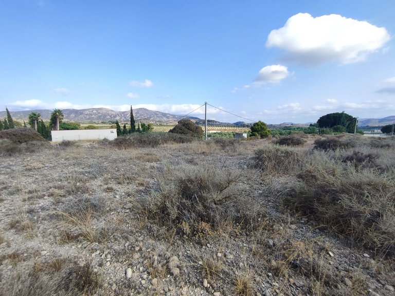 Plot for Sale in Sax, Alicante 3