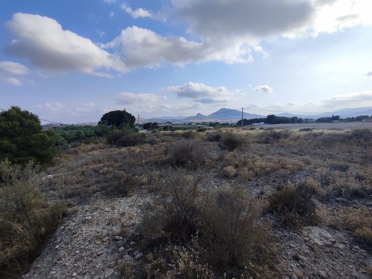 Plot for Sale in Sax, Alicante 2