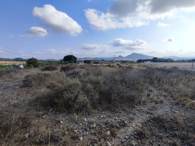 Plot for Sale in Sax, Alicante 13