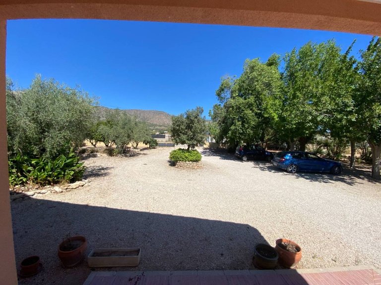 Villa for Sale in Salinas, Alicante 23