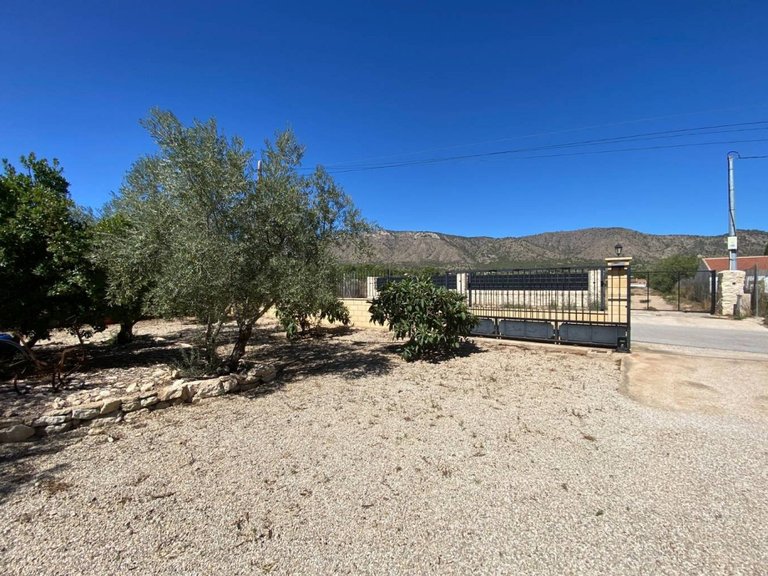 Villa for Sale in Salinas, Alicante 25