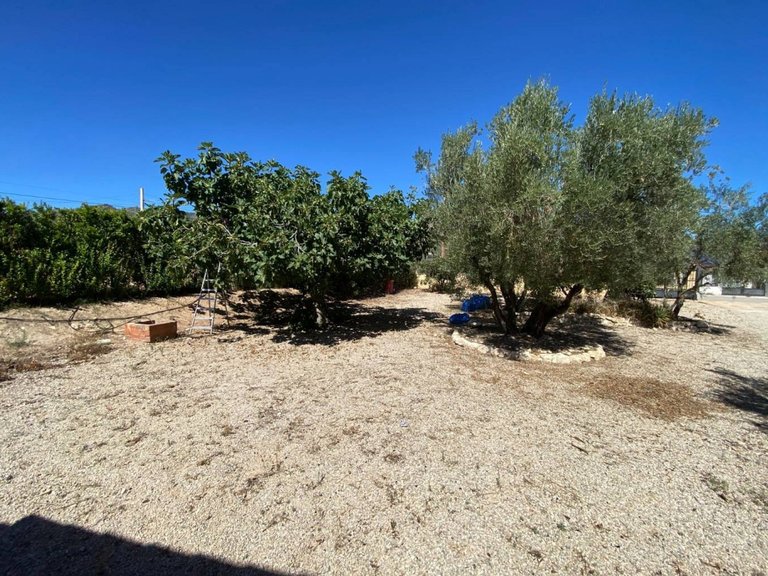 Villa for Sale in Salinas, Alicante 27