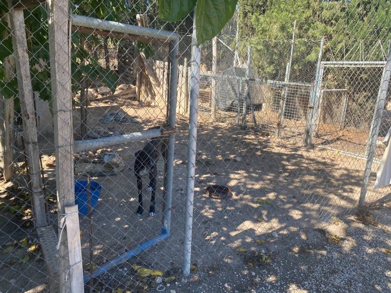 Villa for Sale in Salinas, Alicante 29