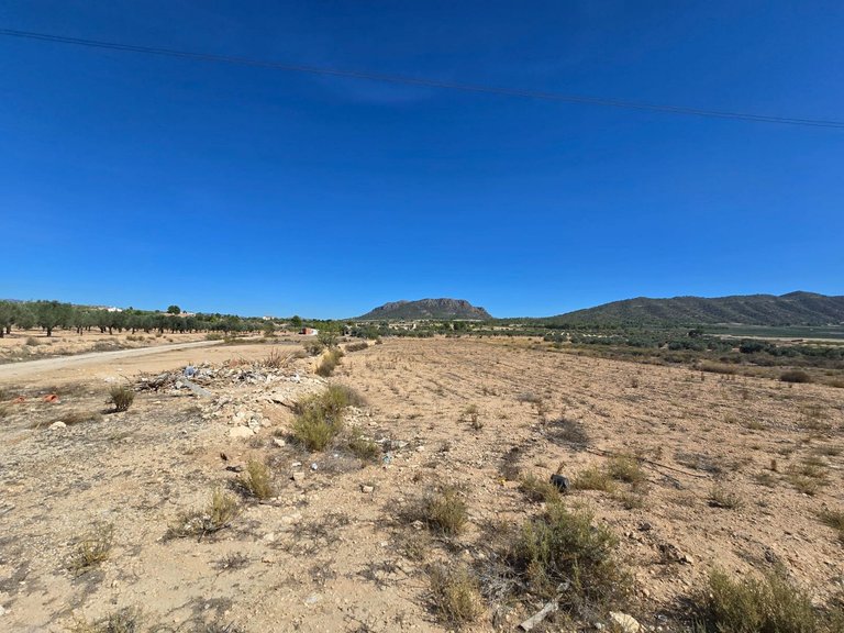 Plot for Sale in Salinas, Alicante 4