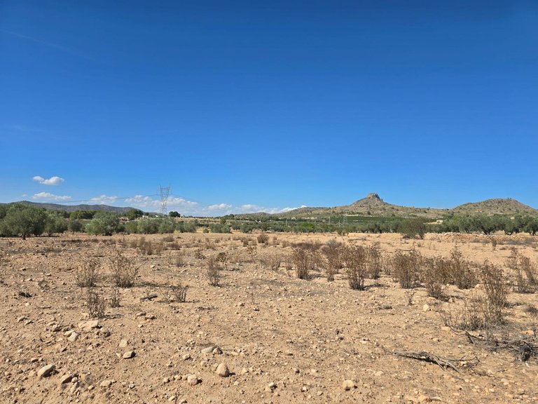 Plot for Sale in Salinas, Alicante 1