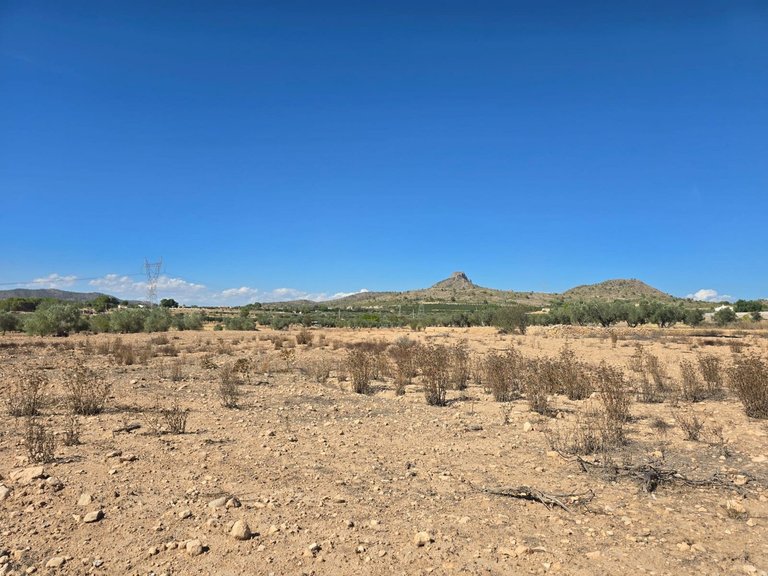 Plot for Sale in Salinas, Alicante 2