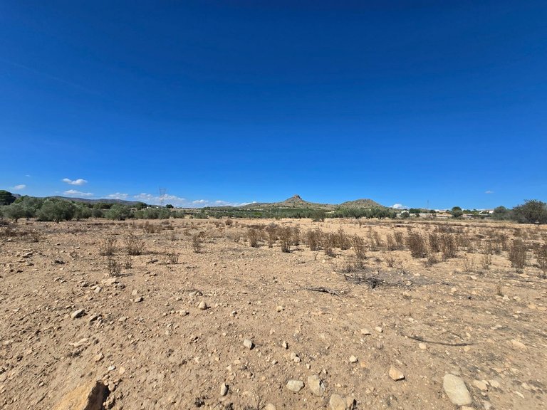 Plot for Sale in Salinas, Alicante 3