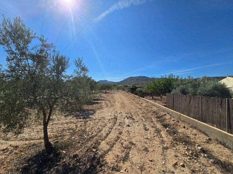 Plot for Sale in Salinas, Alicante 1