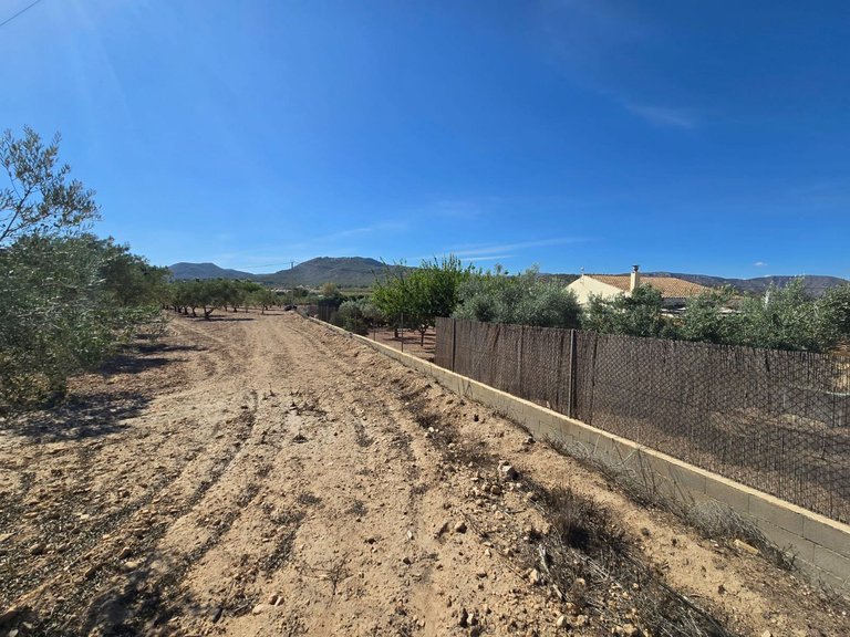 Plot for Sale in Salinas, Alicante 2