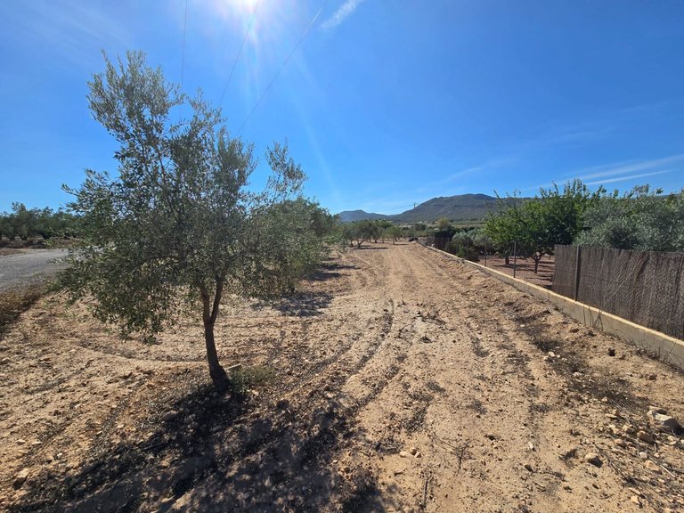 Plot for Sale in Salinas, Alicante 3