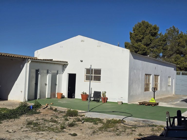 Commercial for Sale in Sax, Alicante 4