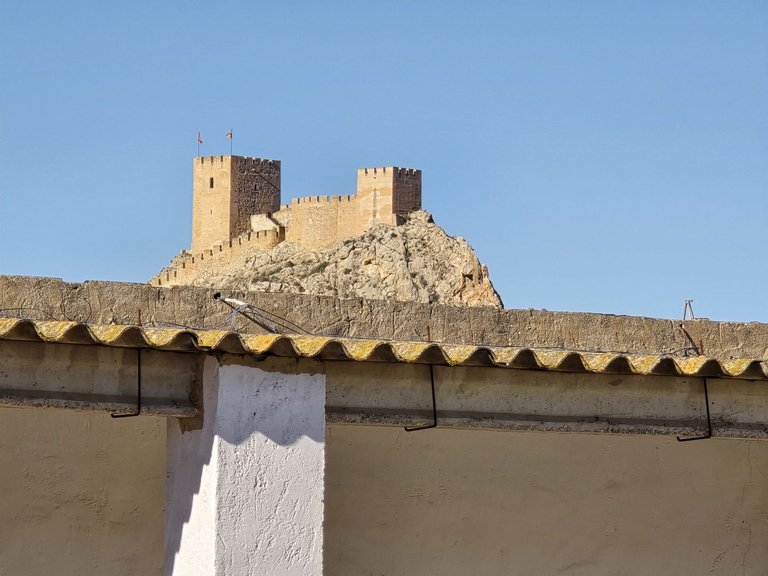 Commercial for Sale in Sax, Alicante 7