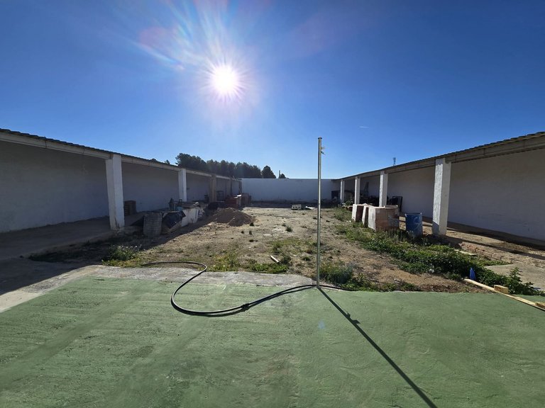 Commercial for Sale in Sax, Alicante 2