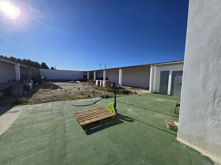 Commercial for Sale in Sax, Alicante 9