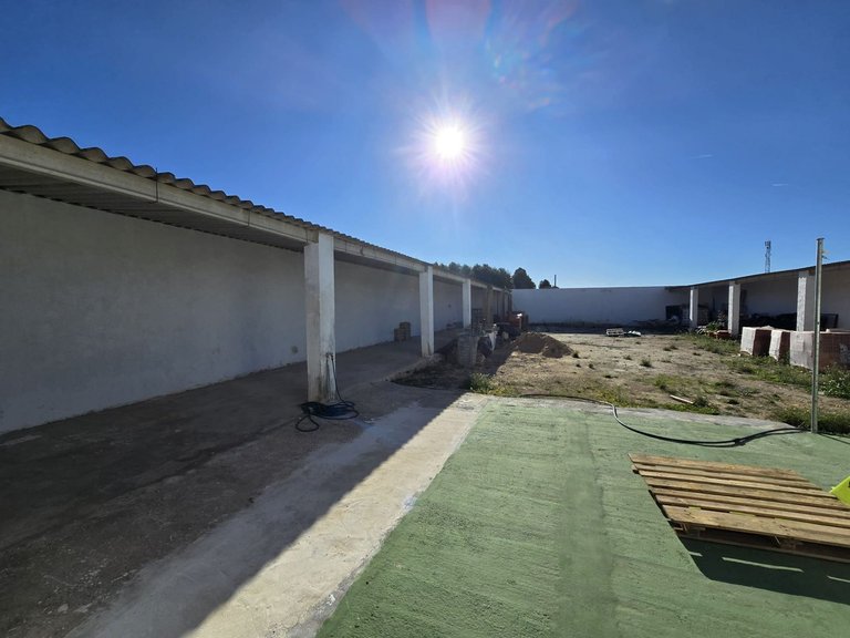 Commercial for Sale in Sax, Alicante 13