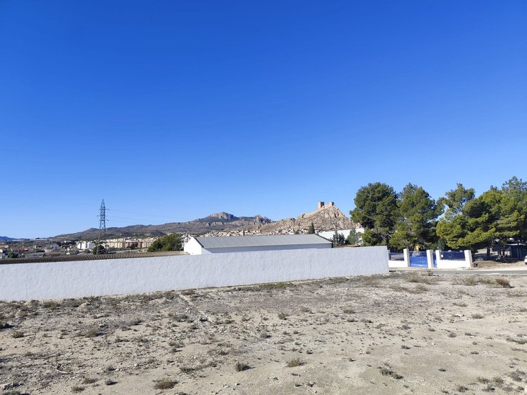 Commercial for Sale in Sax, Alicante 16