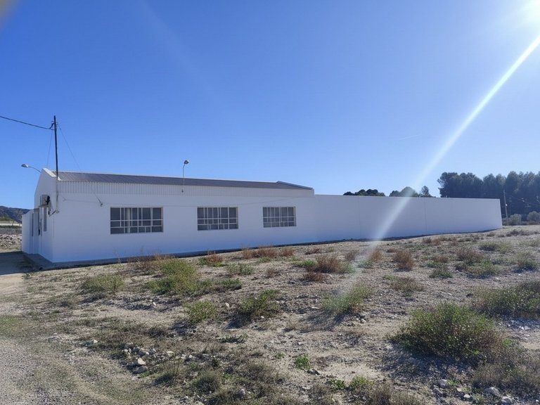Commercial for Sale in Sax, Alicante 14