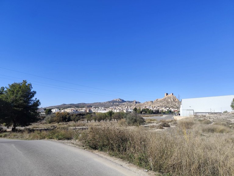 Commercial for Sale in Sax, Alicante 17