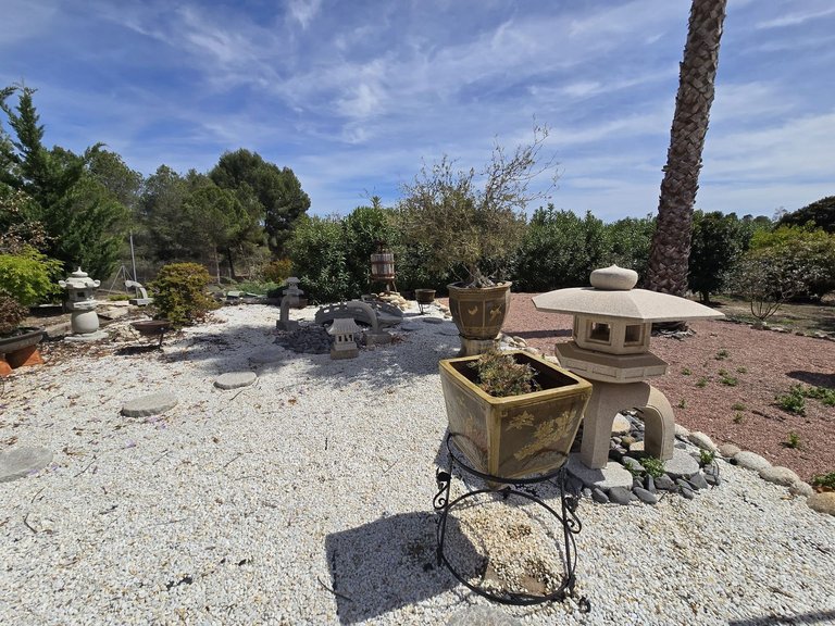Villa for Sale in Sax, Alicante 24