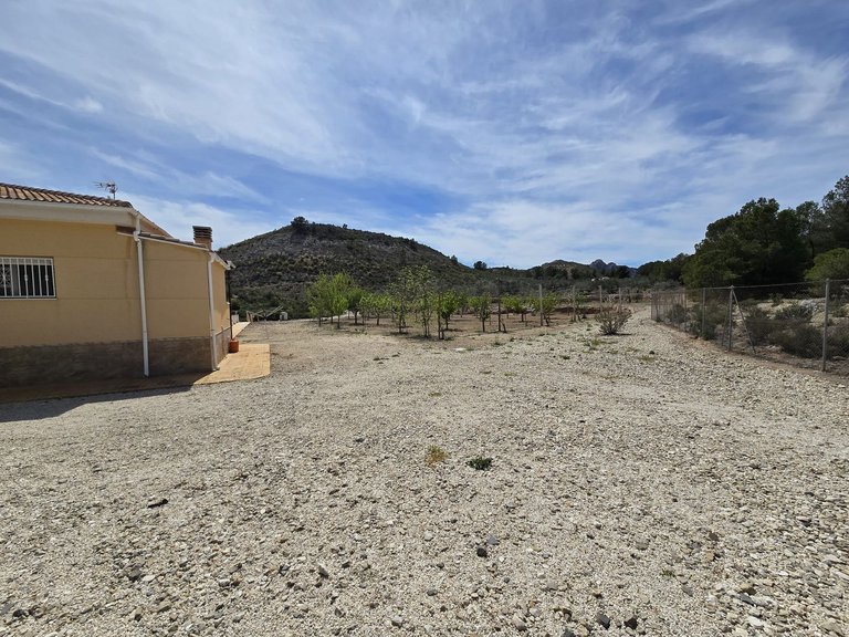 Villa for Sale in Sax, Alicante 30