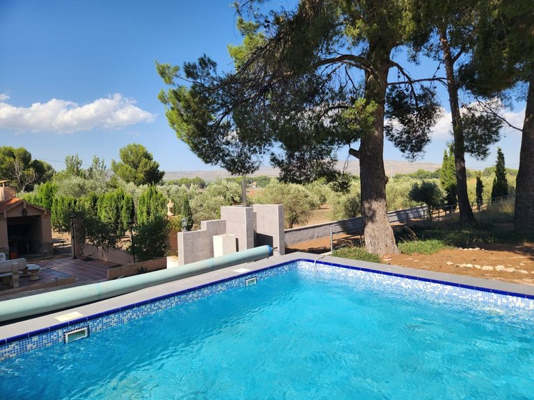 Villa for Sale in Villena, Alicante 41