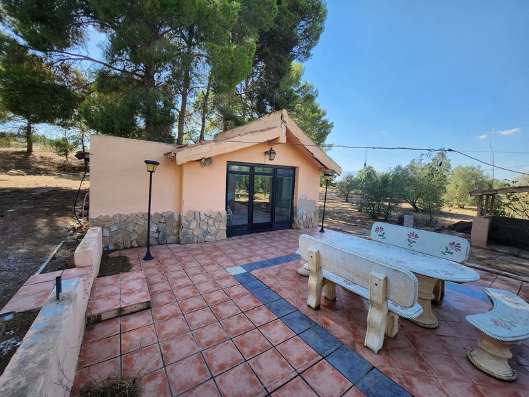 Villa for Sale in Villena, Alicante 37