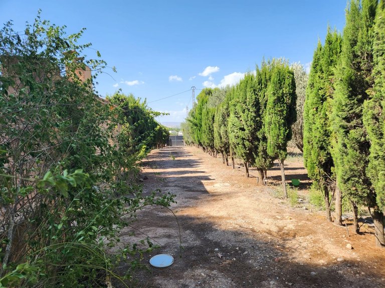Villa for Sale in Villena, Alicante 40