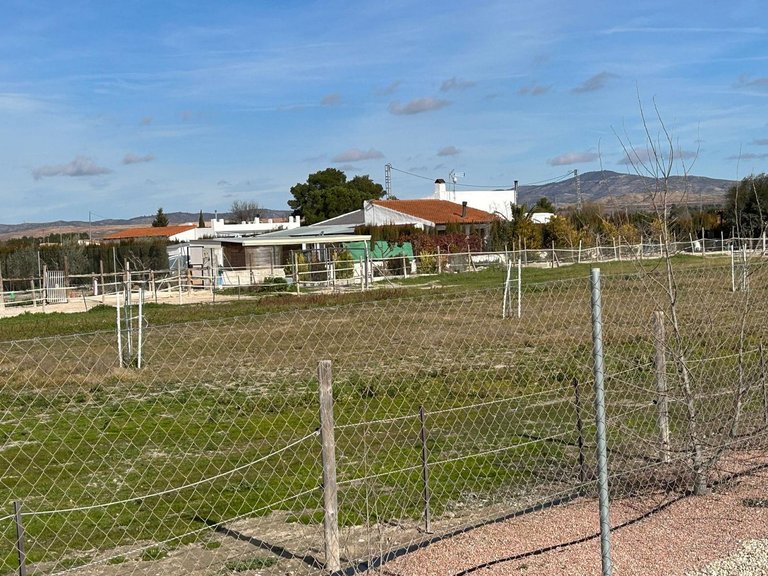Villa for Sale in Villena, Alicante 47