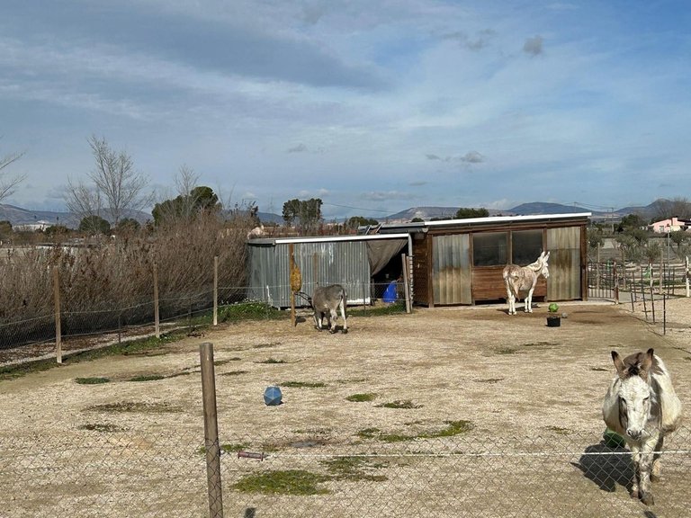 Villa for Sale in Villena, Alicante 10