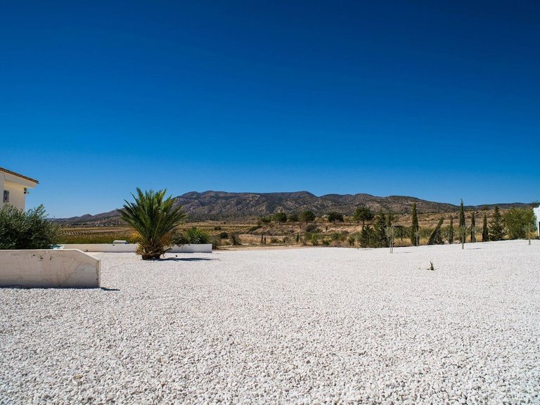 Villa for Sale in Pinoso, Alicante 37