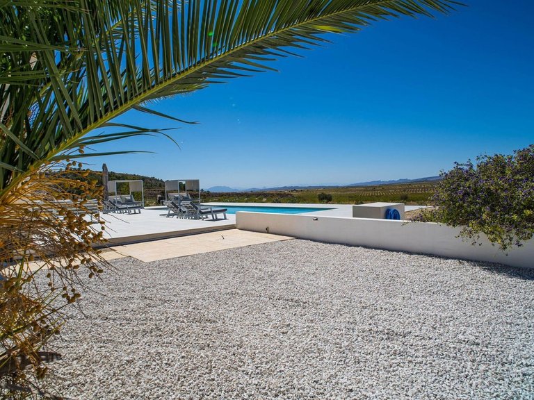 Villa for Sale in Pinoso, Alicante 39