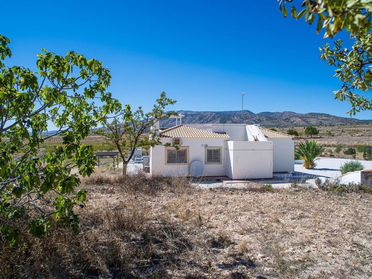 Villa for Sale in Pinoso, Alicante 33