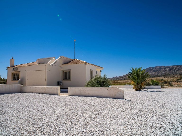 Villa for Sale in Pinoso, Alicante 38