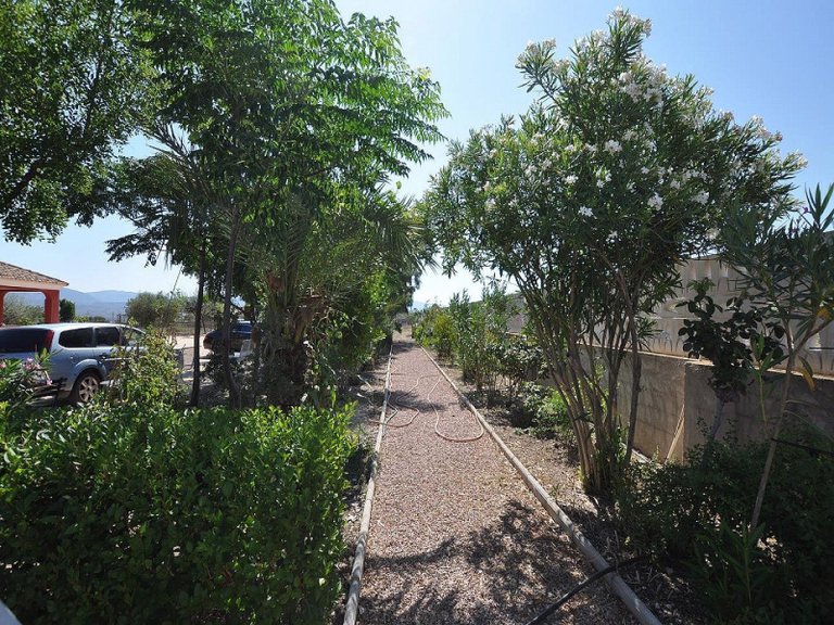 Villa for Sale in Sax, Alicante 11