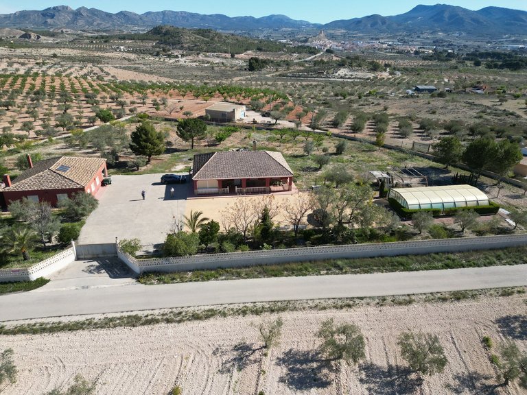Villa for Sale in Sax, Alicante 5