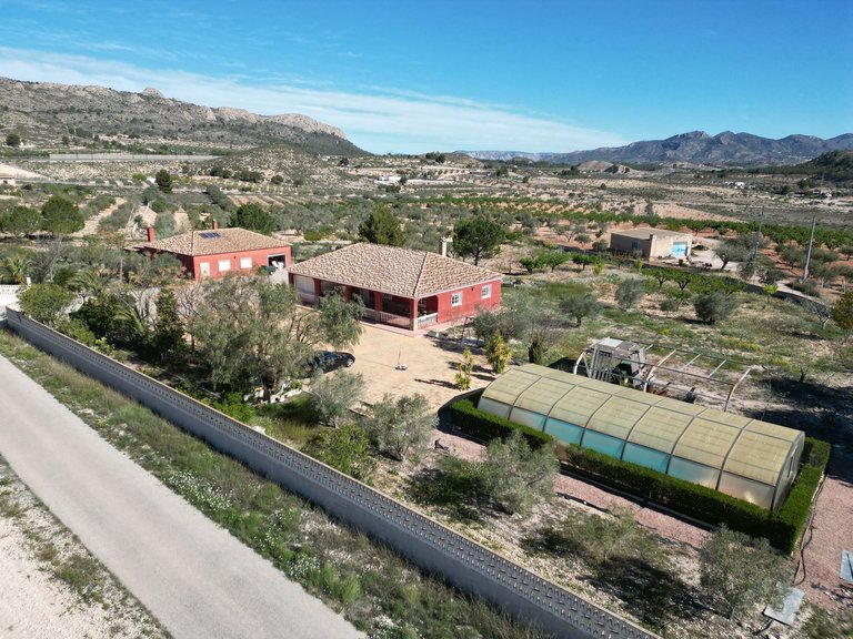 Villa for Sale in Sax, Alicante 4